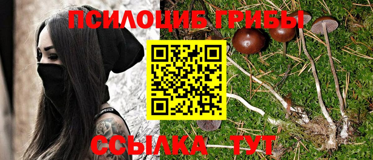 Меф МЯУ МЯУ кристаллы  Вейп ТГК  Конопля  Феодосия  ГАШ  Вход с VPN  Каннабис  КОКАИН 