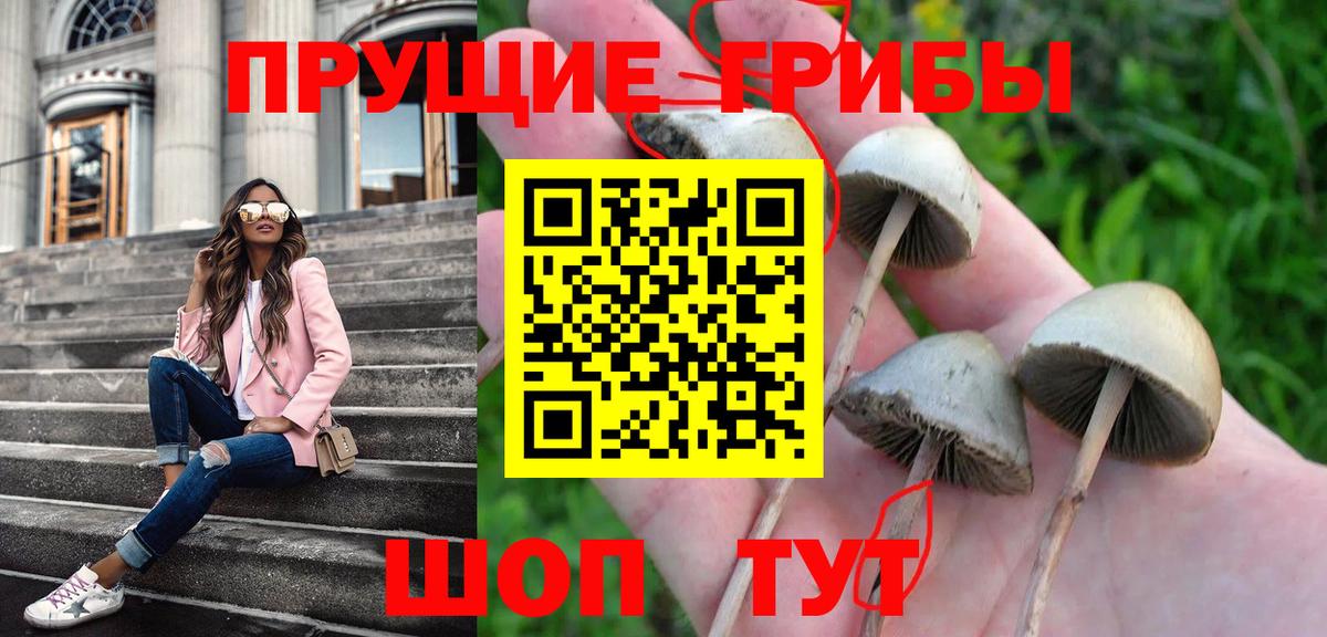 Галлюциногенные грибы Cubensis  Вход с VPN  Феодосия 